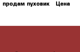 продам пуховик › Цена ­ 1 600 - Самарская обл., Тольятти г. Одежда, обувь и аксессуары » Женская одежда и обувь   . Самарская обл.